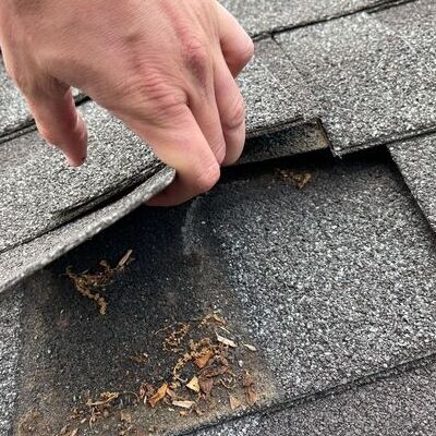 Roofer inspects damaged shingles.